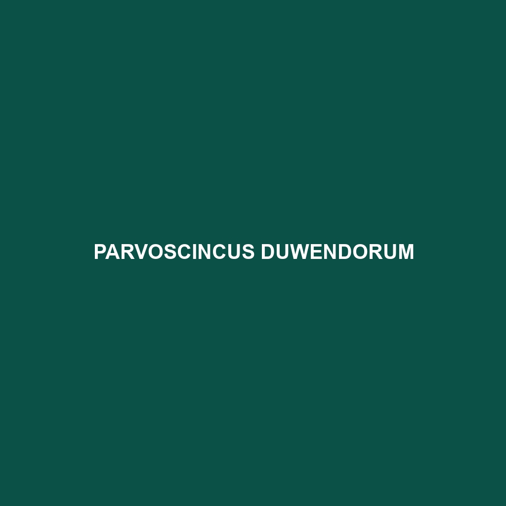 Parvoscincus duwendorum