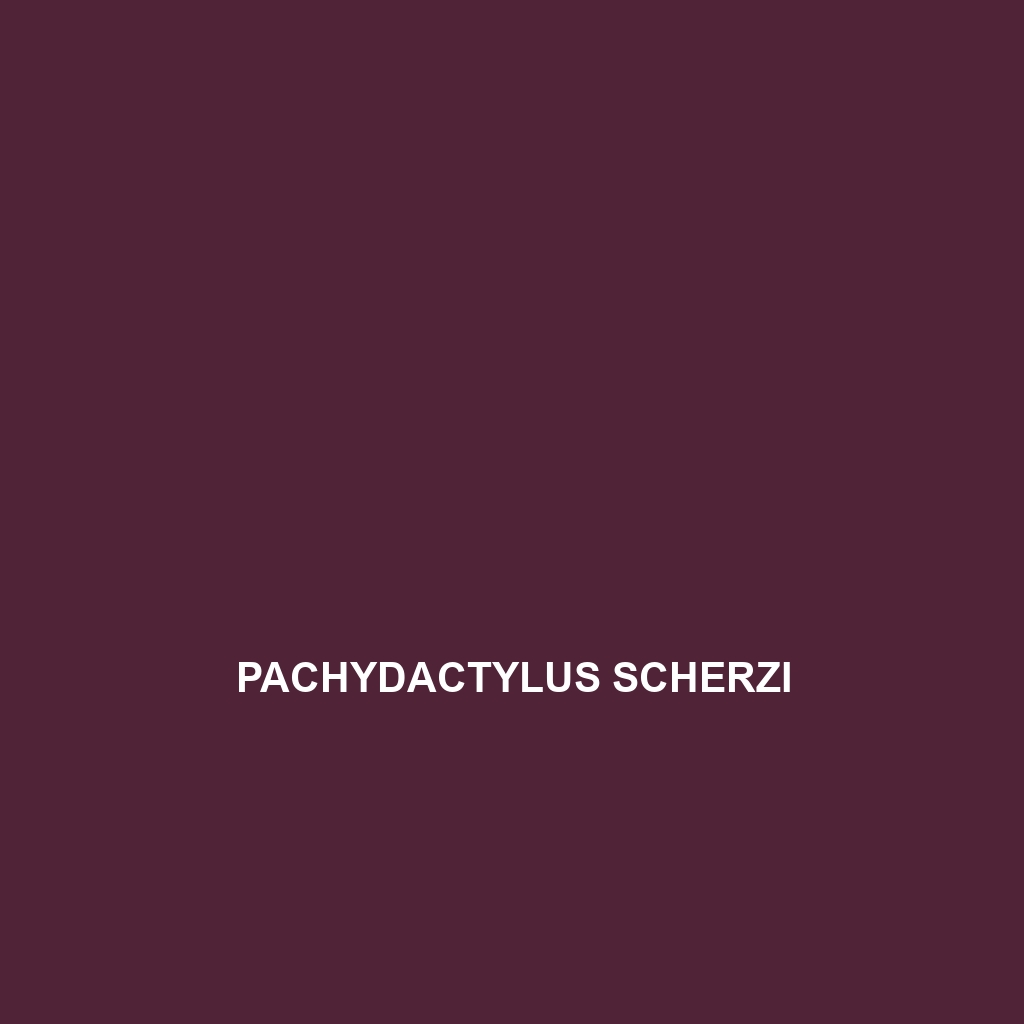 Pachydactylus scherzi