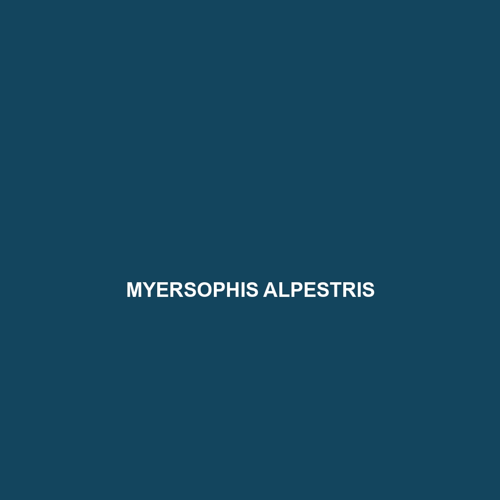 Myersophis alpestris