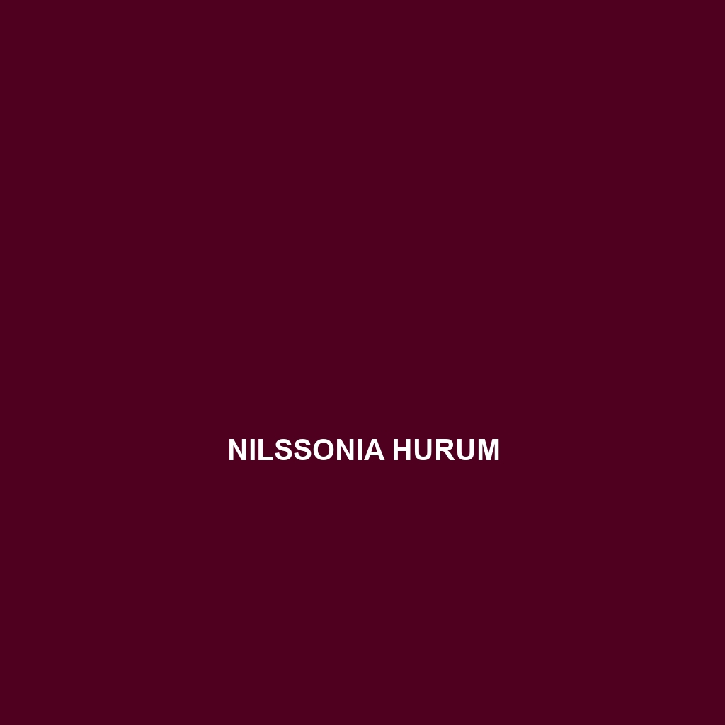 Nilssonia hurum