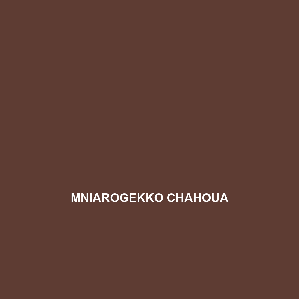 Mniarogekko chahoua