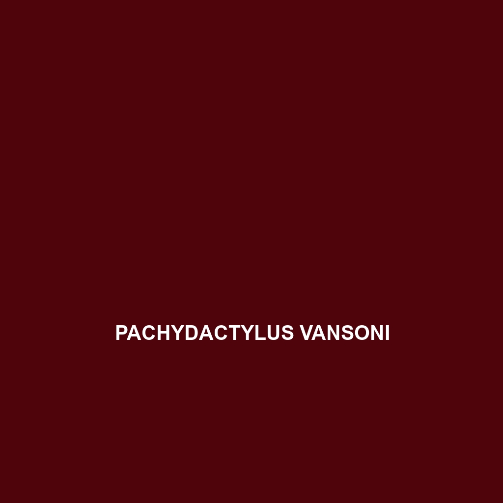 Pachydactylus vansoni