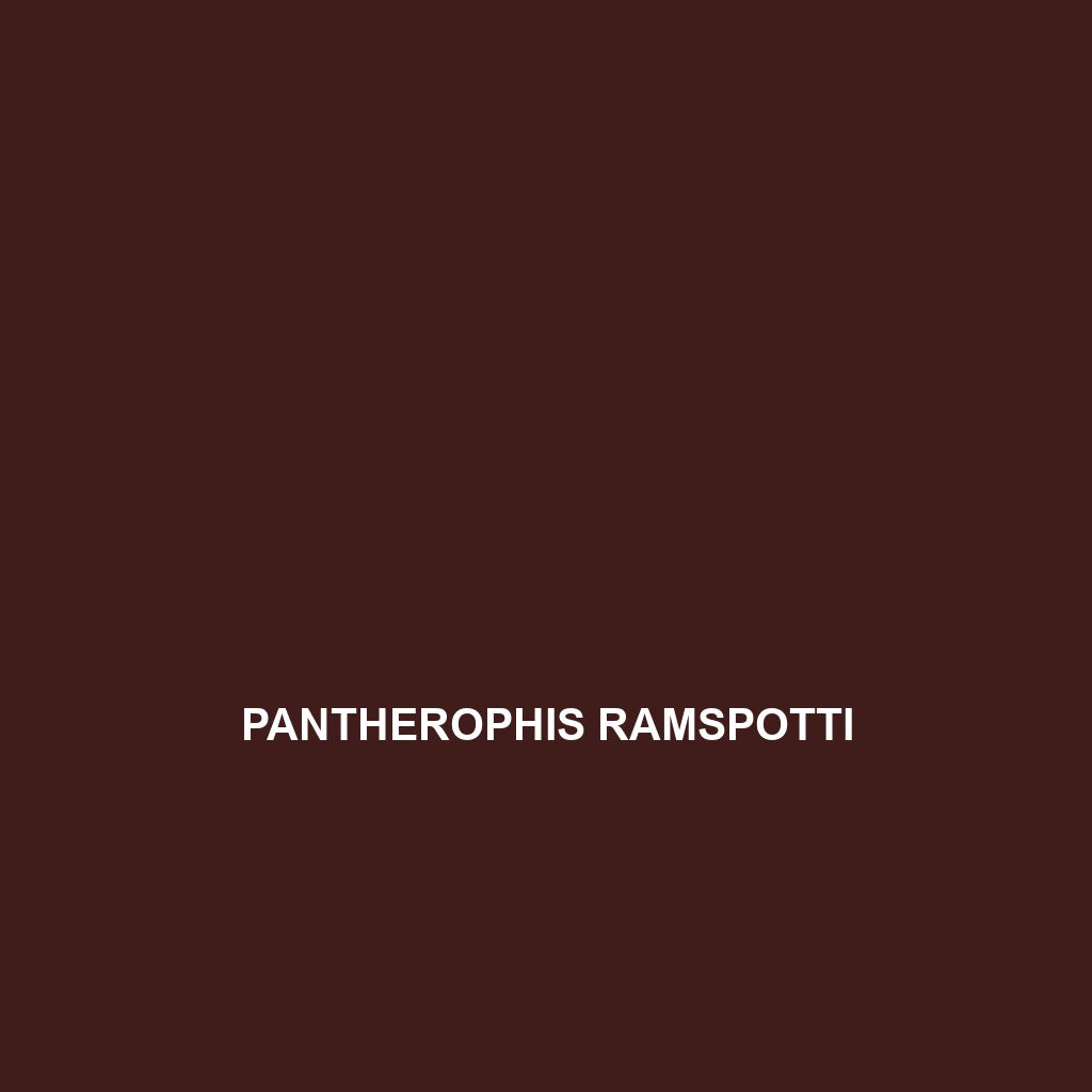 Pantherophis ramspotti