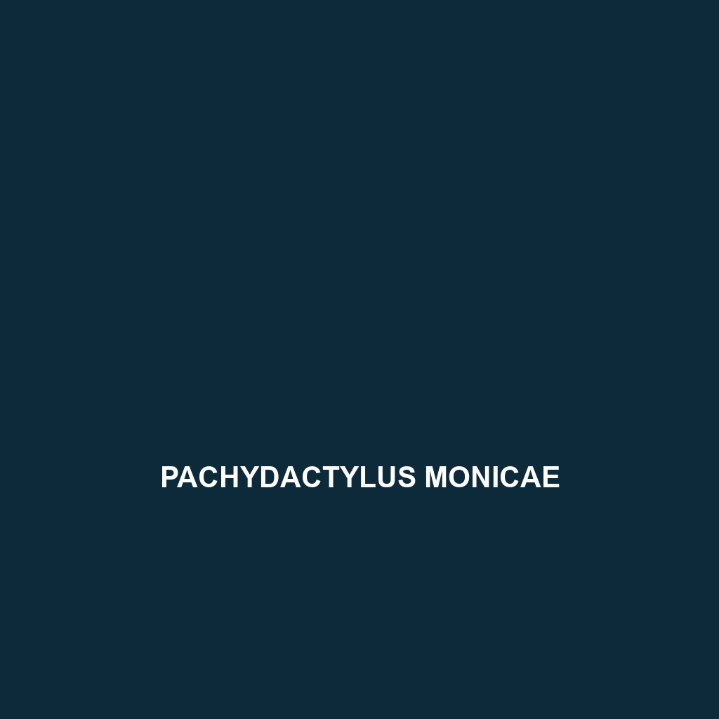 Pachydactylus mclachlani