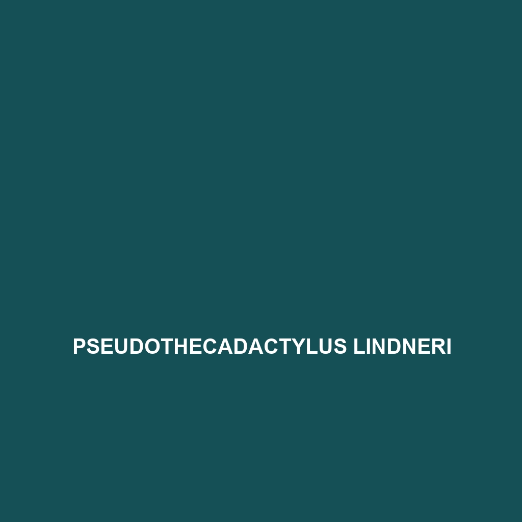 Pseudothecadactylus lindneri