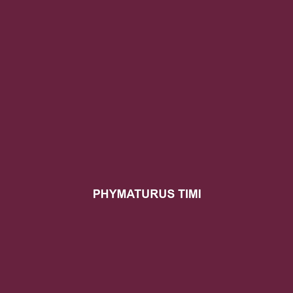 Phymaturus timi