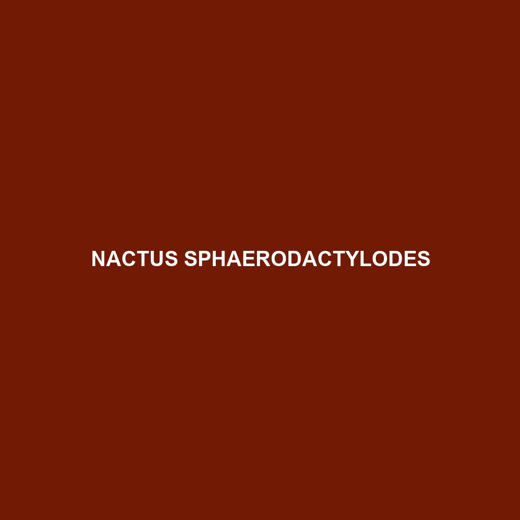 Nactus sphaerodactylodes