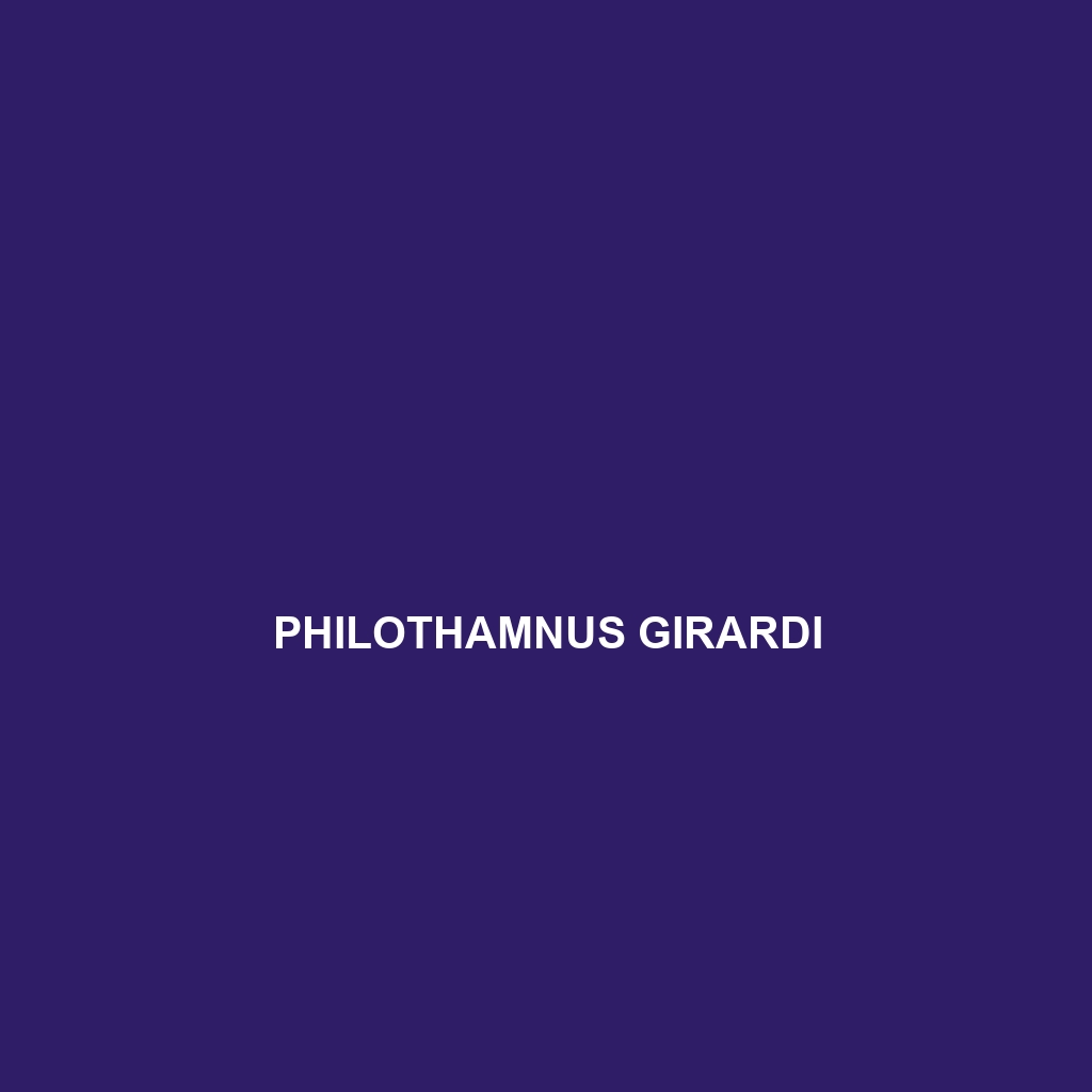 Philothamnus girardi