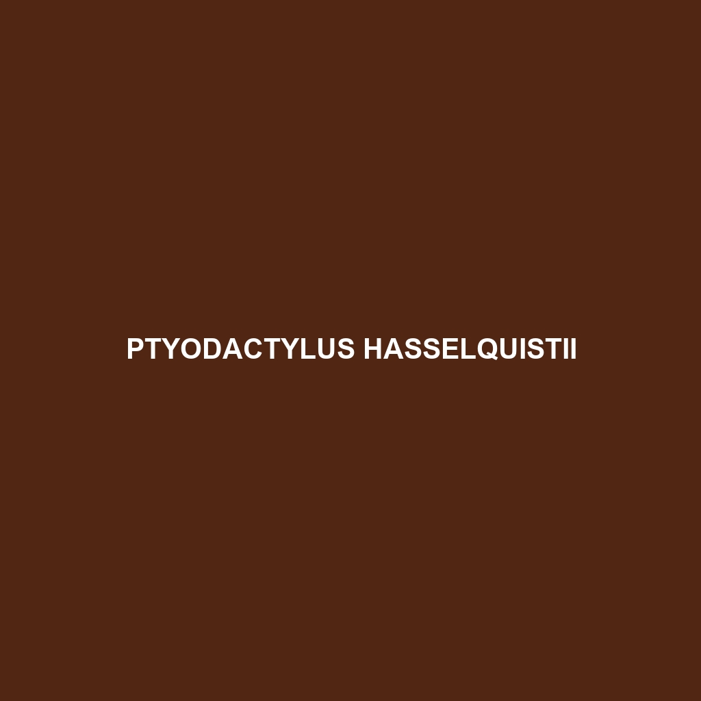 Ptyodactylus hasselquistii