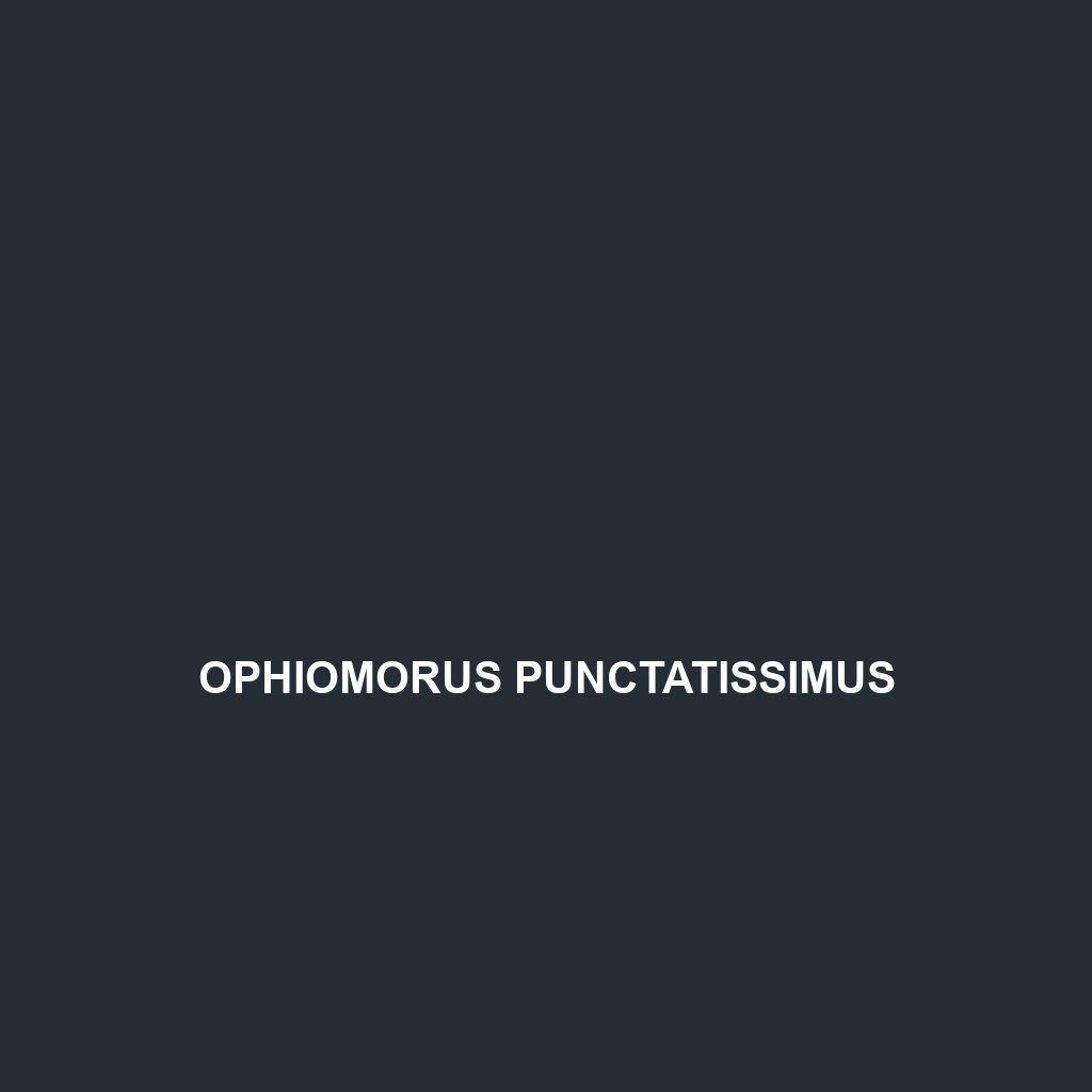 Ophiomorus punctatissimus