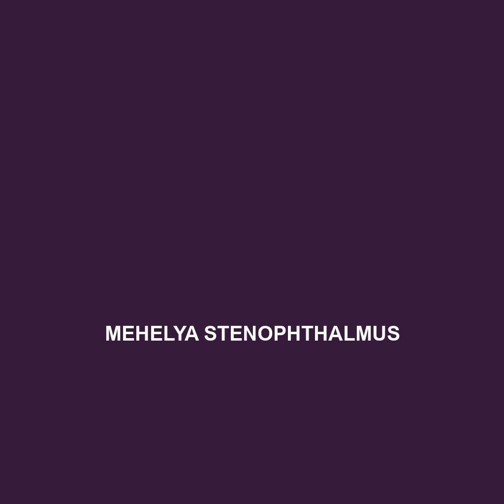 Mehelya stenophthalmus