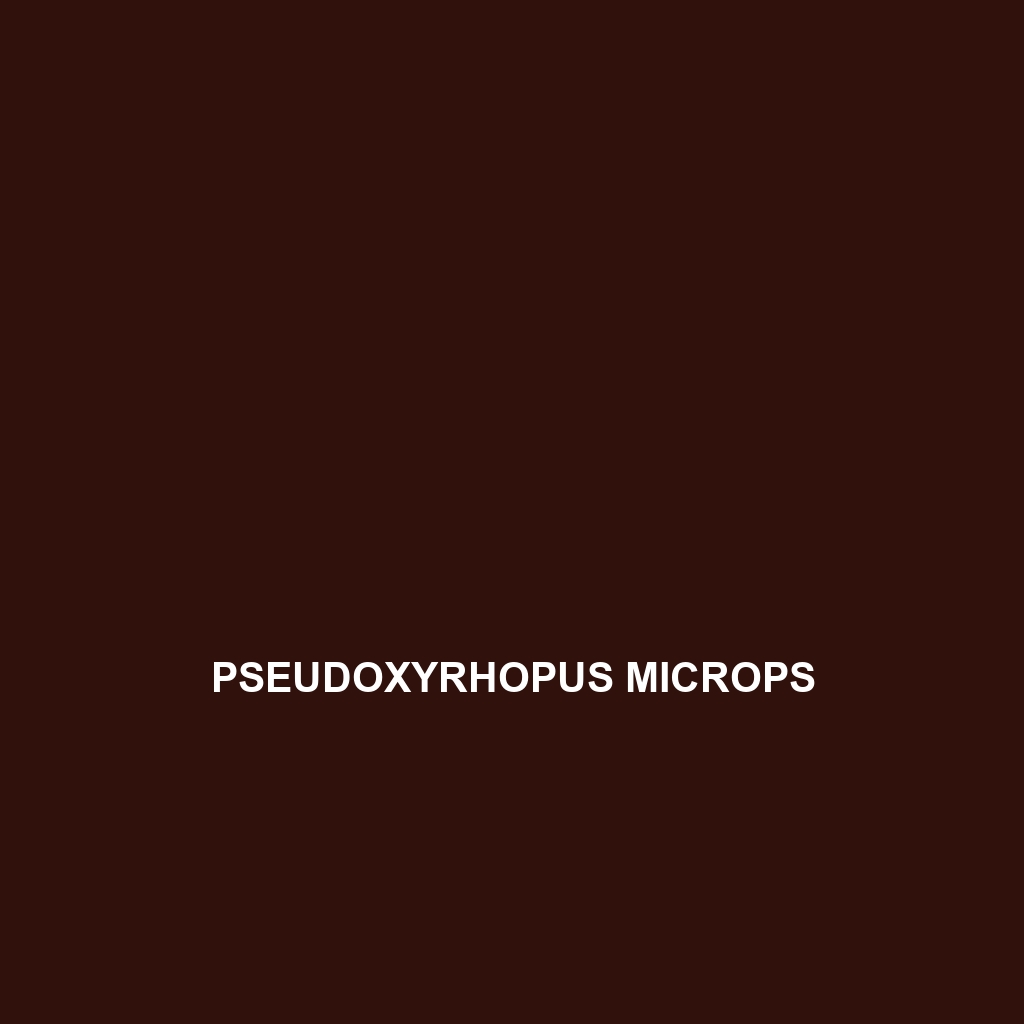 Pseudoxyrhopus microps