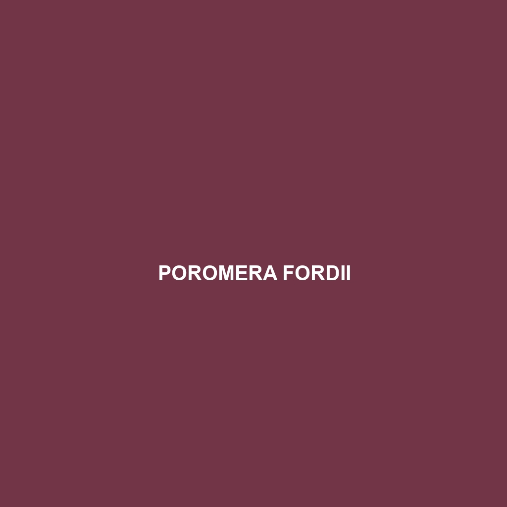 Poromera fordii