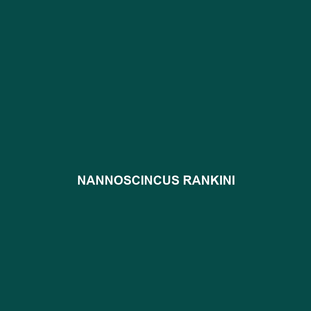 Nannoscincus rankini