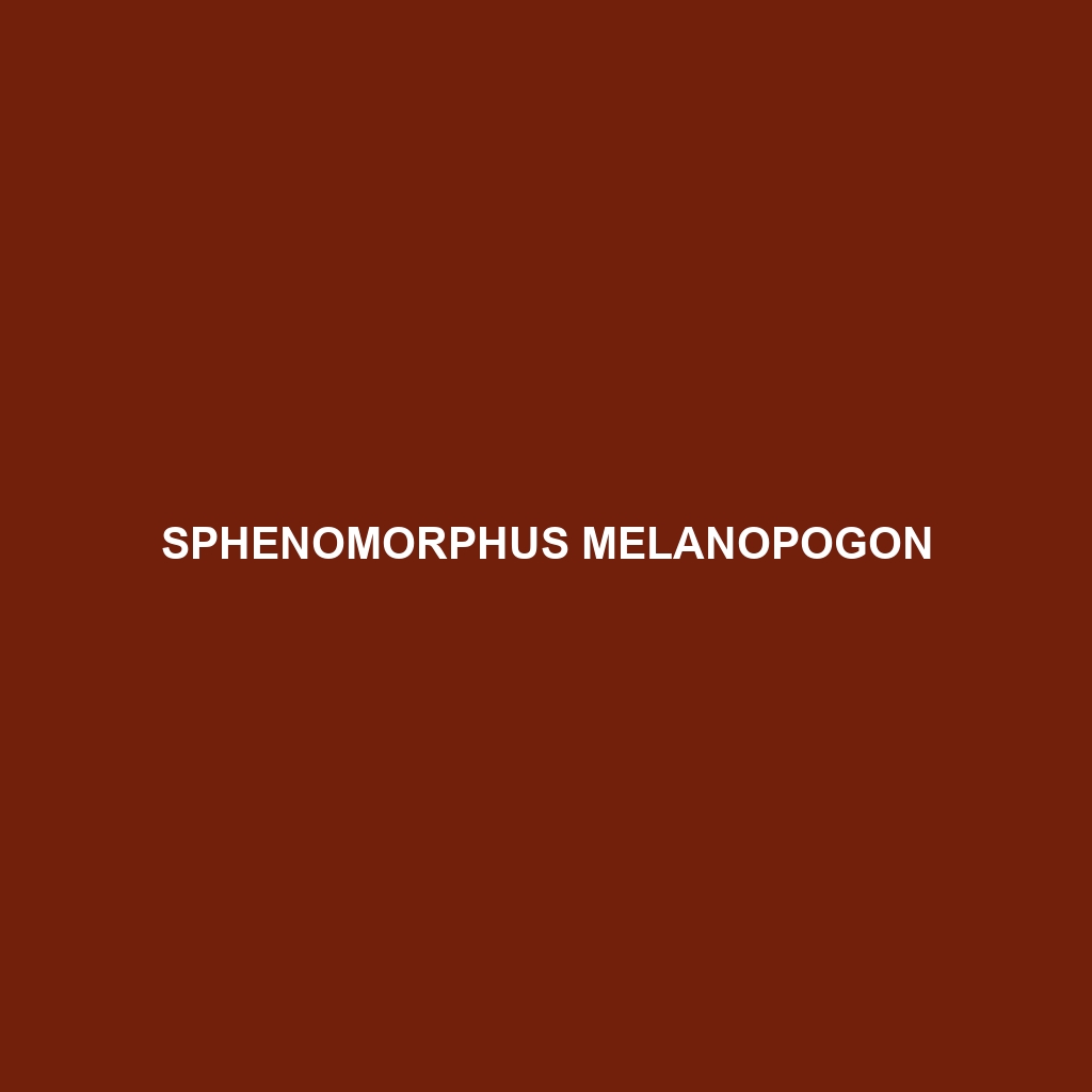 Sphenomorphus melanopogon