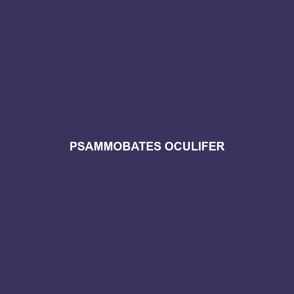 Psammobates oculifer