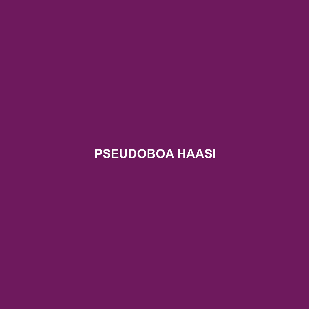 Pseudoboa haasi