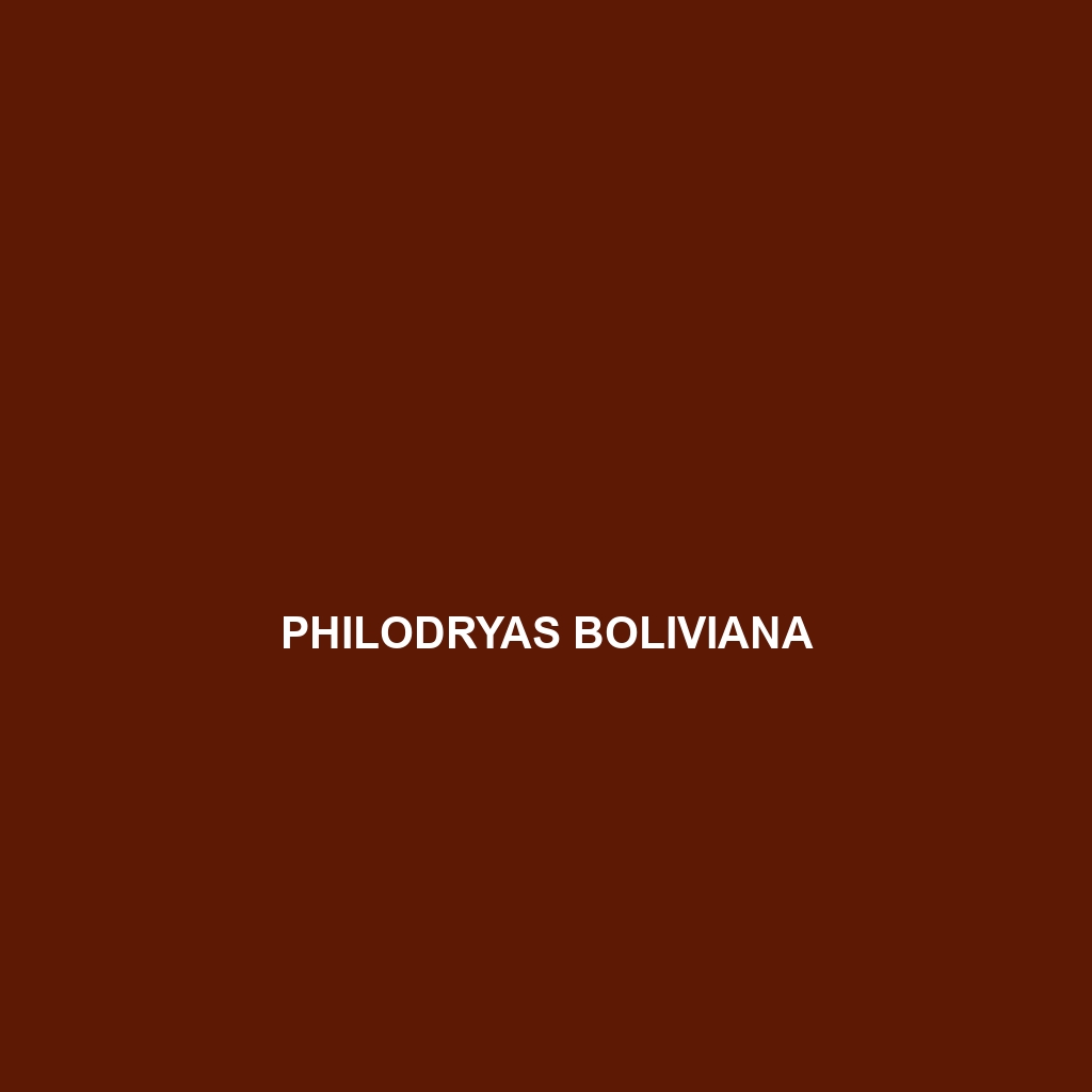 Philodryas boliviana