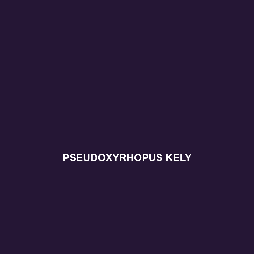 Pseudoxyrhopus kely