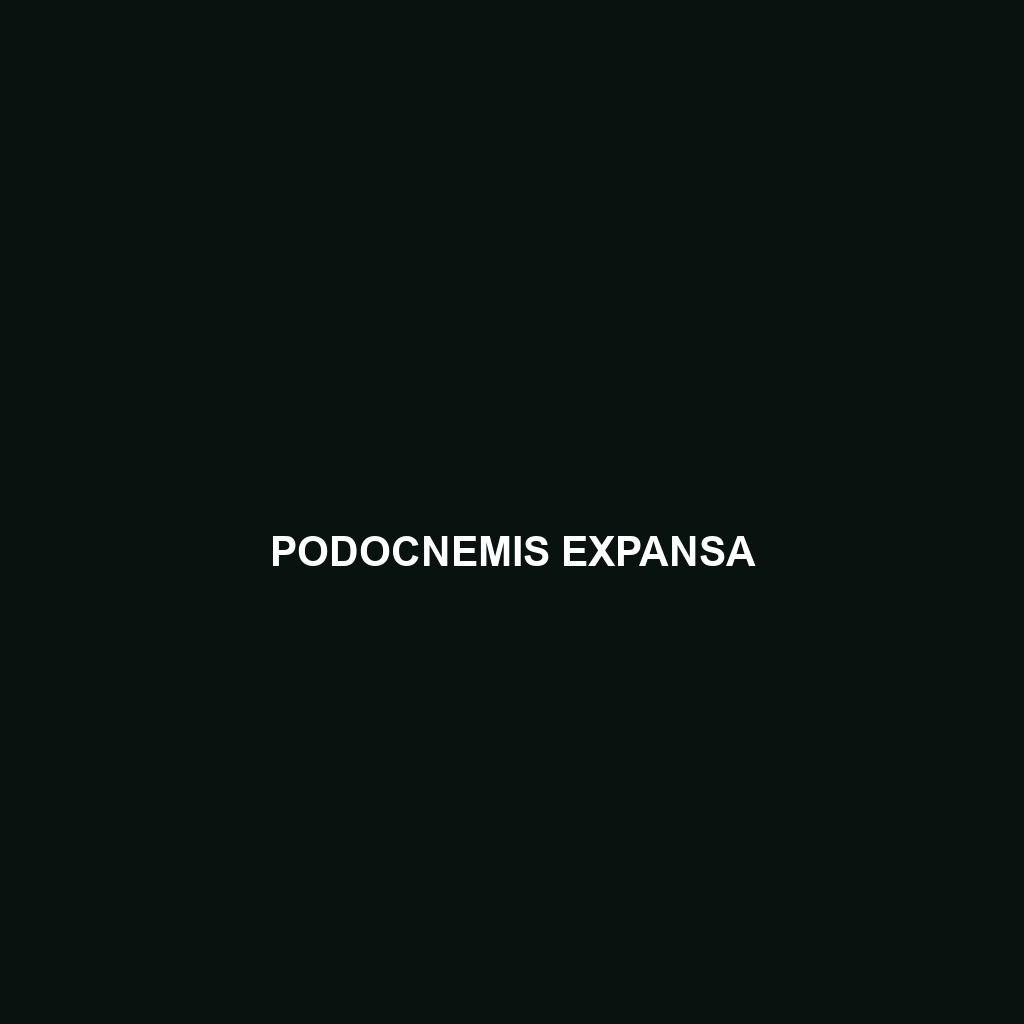 Podocnemis expansa