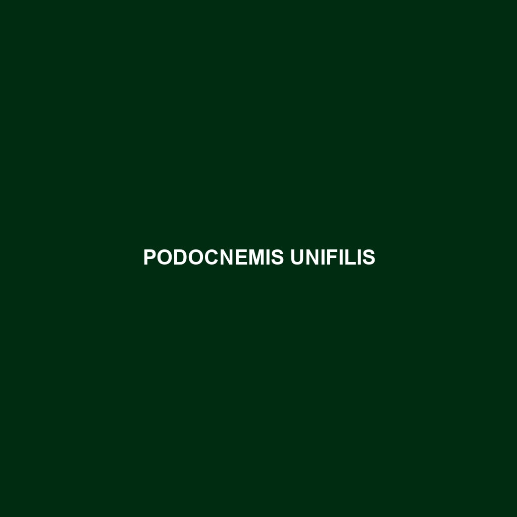 Podocnemis unifilis