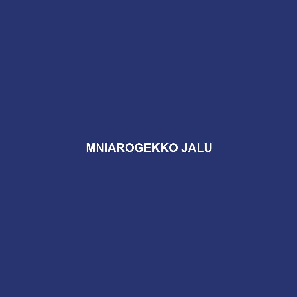 Mniarogekko jalu