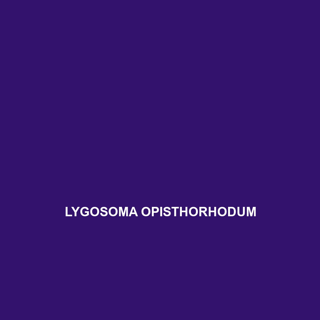 Lygosoma opisthorhodum