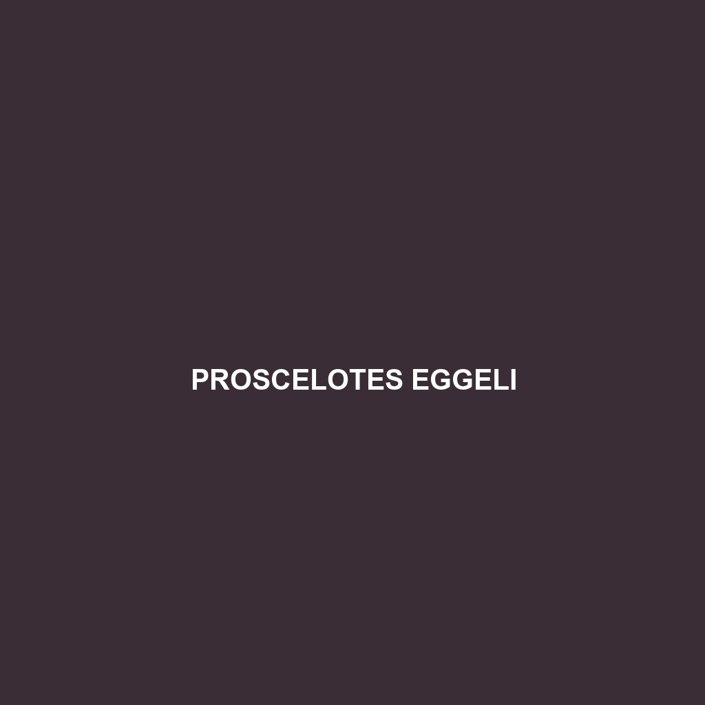 Proscelotes eggeli