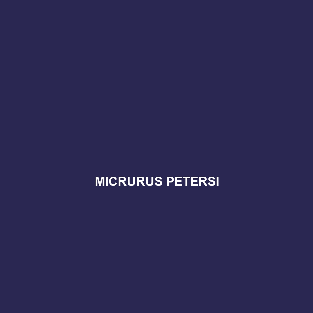 Micrurus petersi