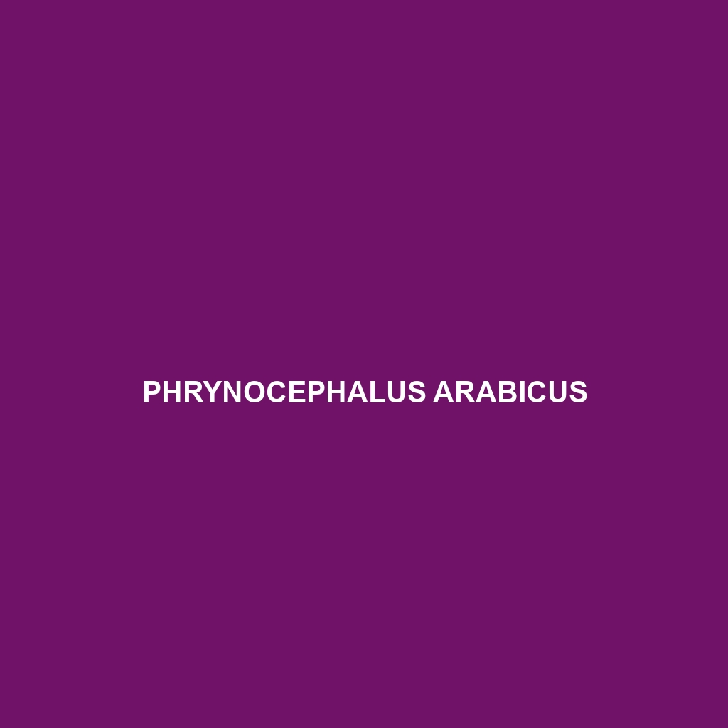 Phrynocephalus arabicus