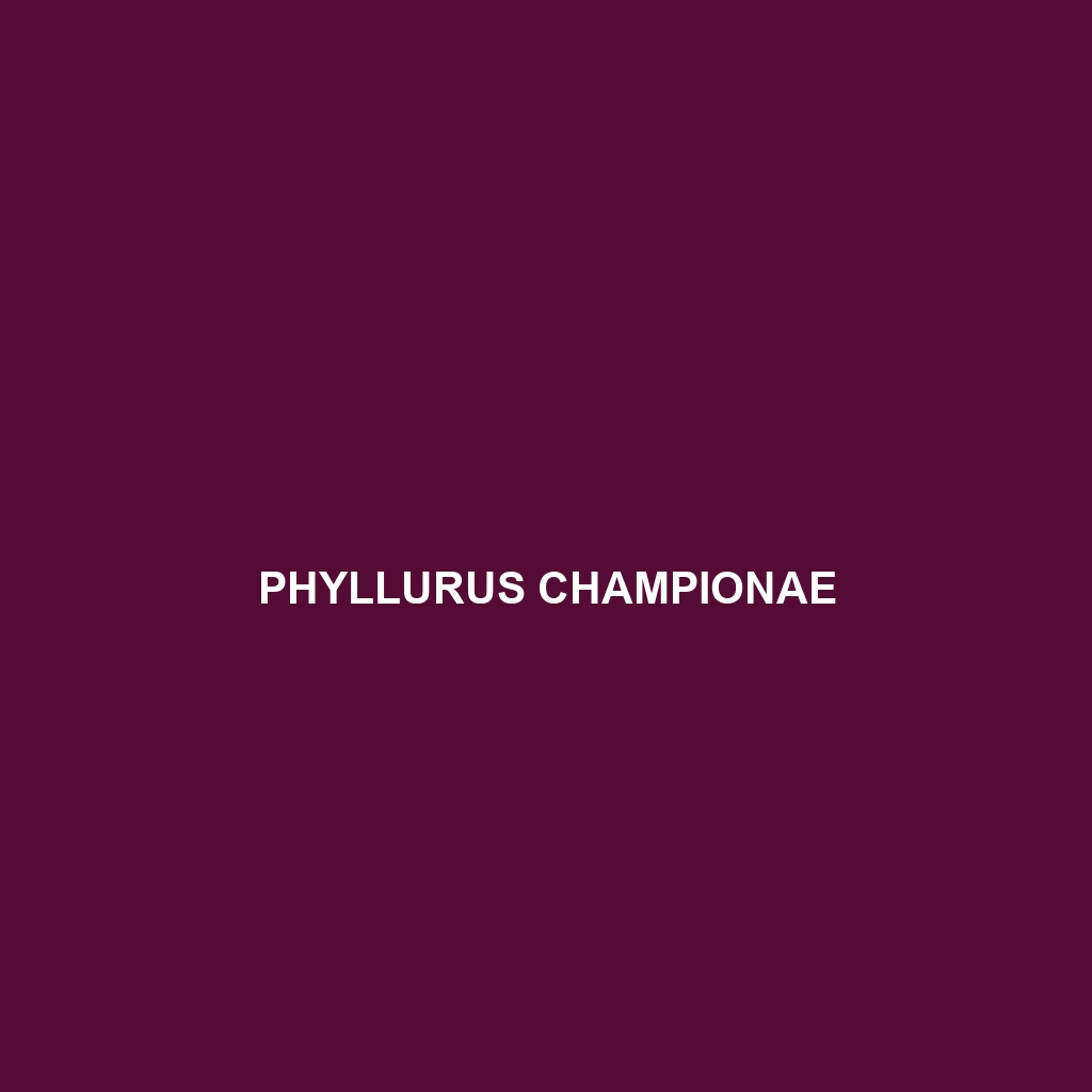 Phyllurus championae