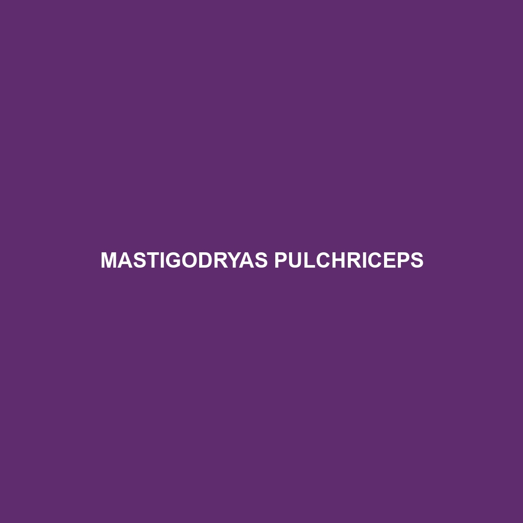 Mastigodryas pulchriceps