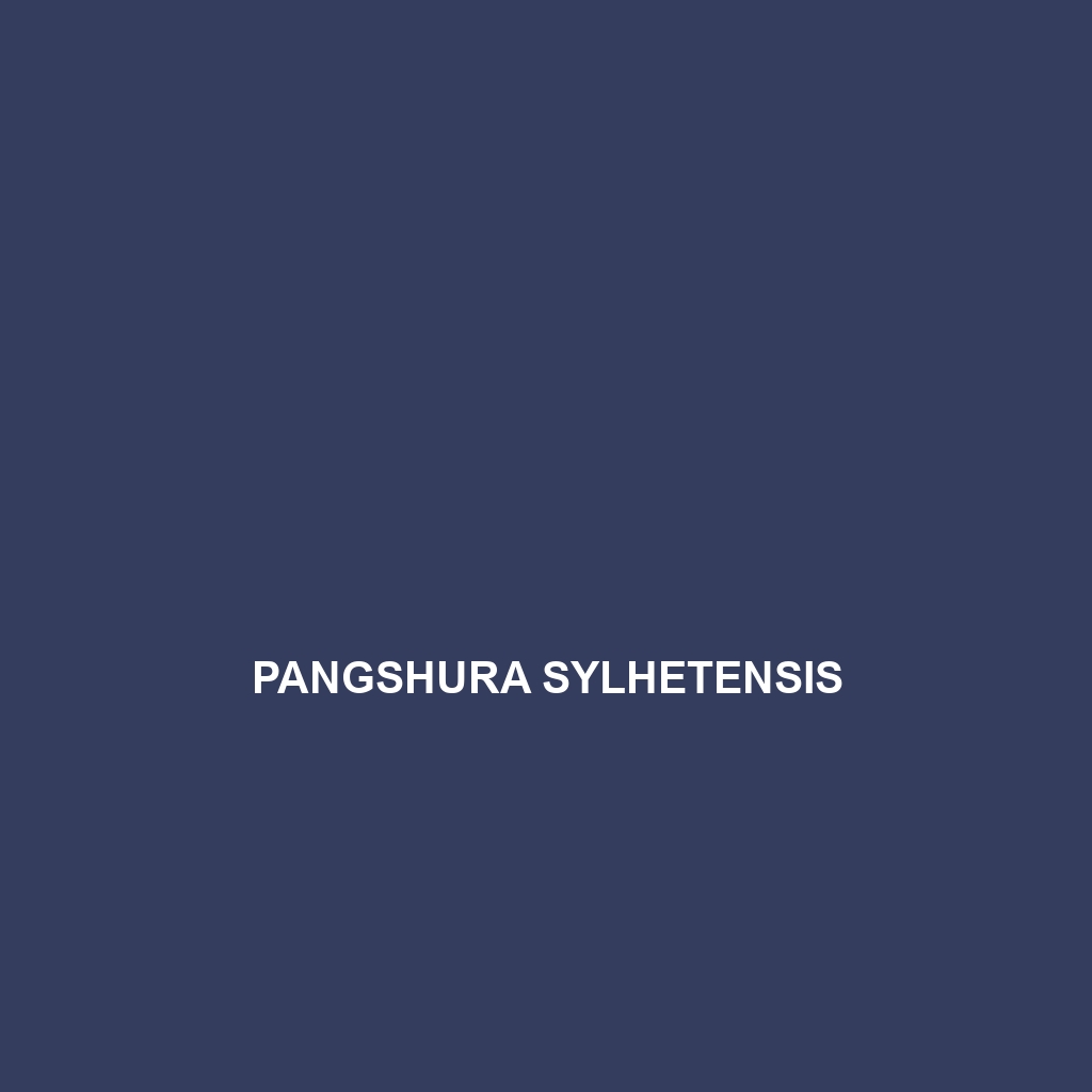 Pangshura sylhetensis