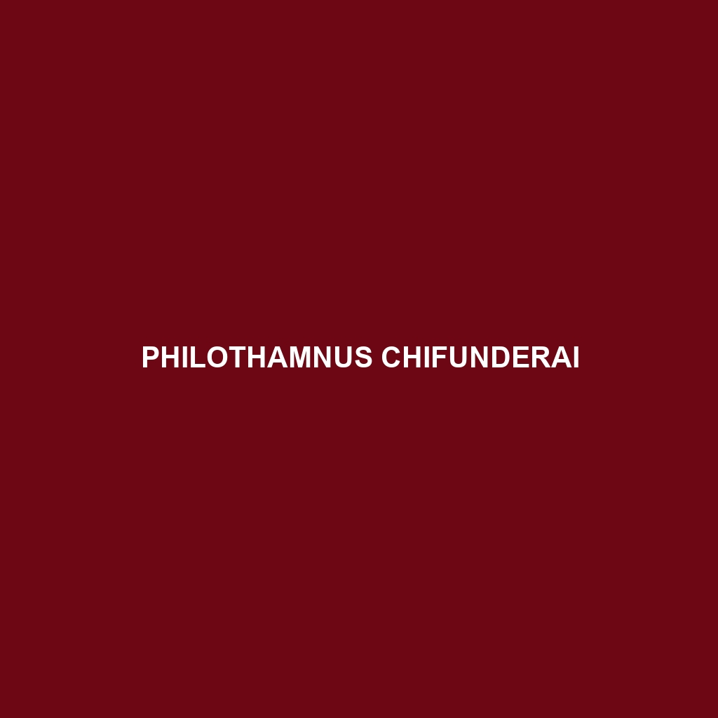 Philothamnus chifunderai