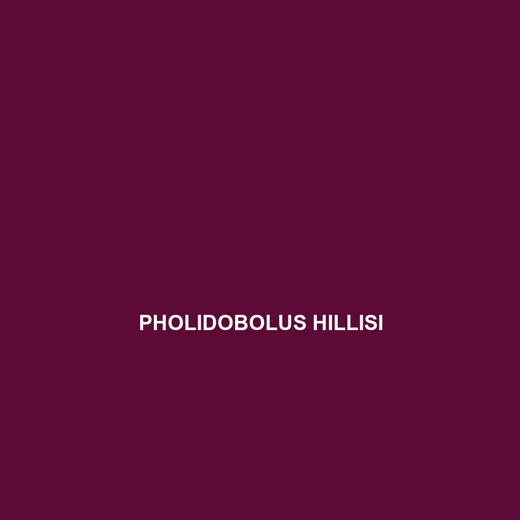 Pholidobolus hillisi