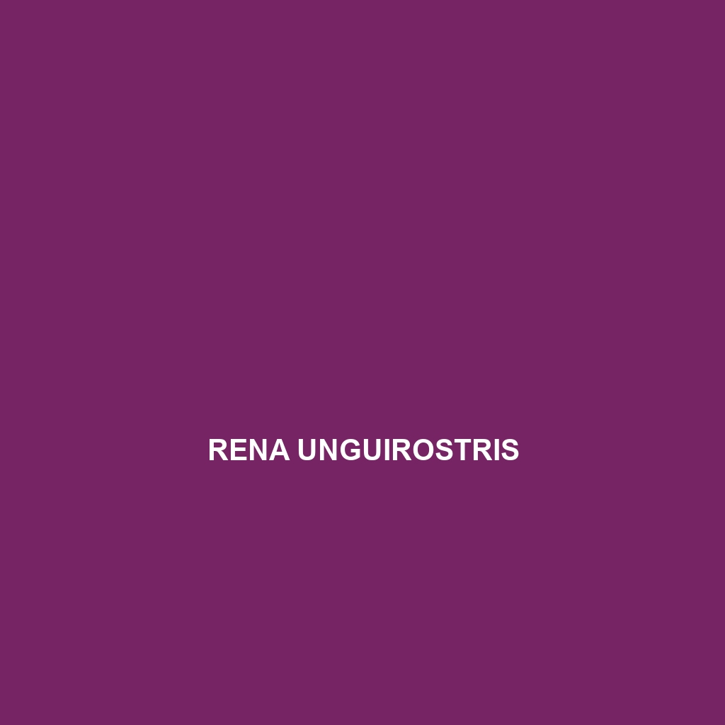 Rena unguirostris