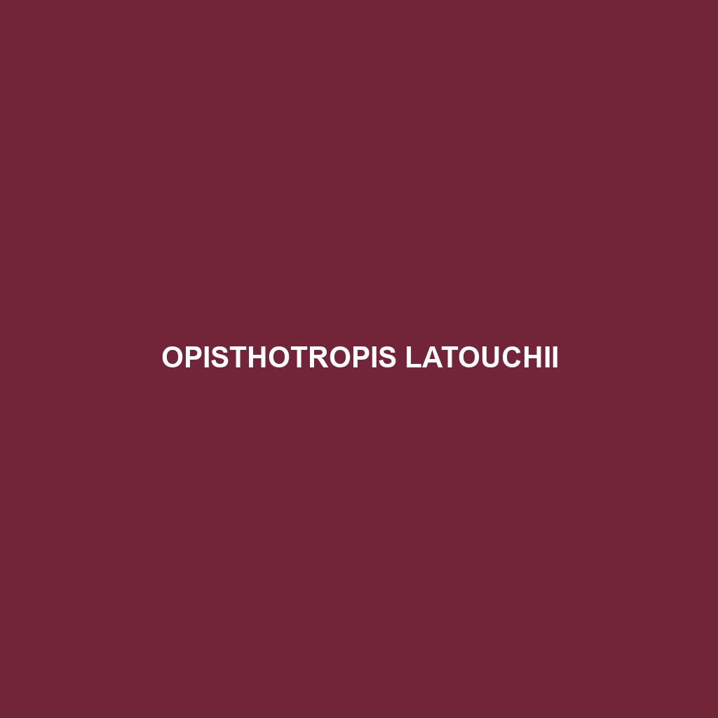 Opisthotropis latouchii