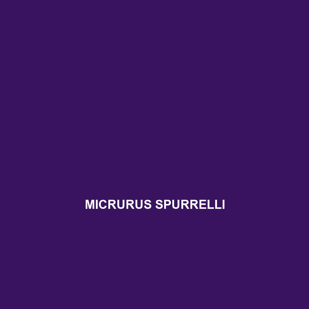 Micrurus spurrelli