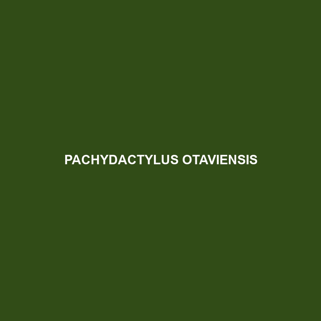 Pachydactylus otaviensis