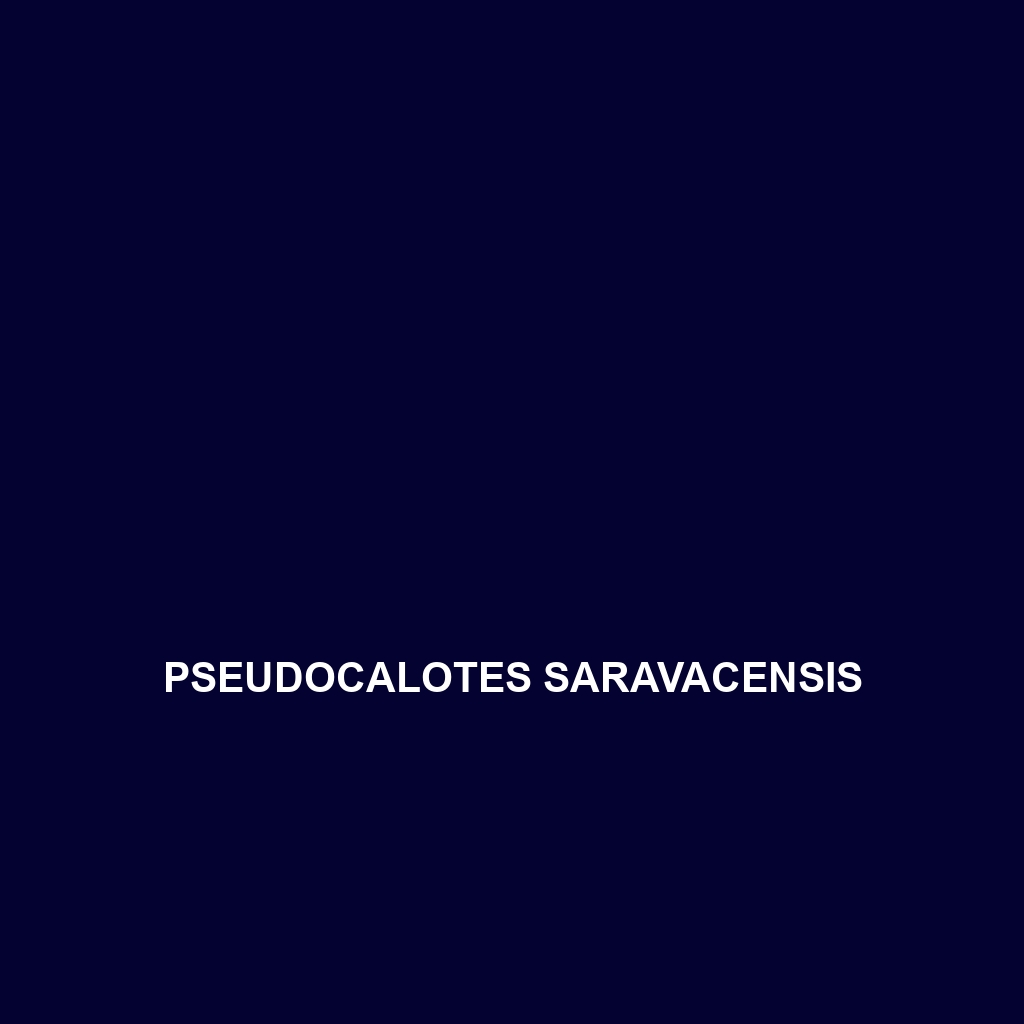 Pseudocalotes saravacensis