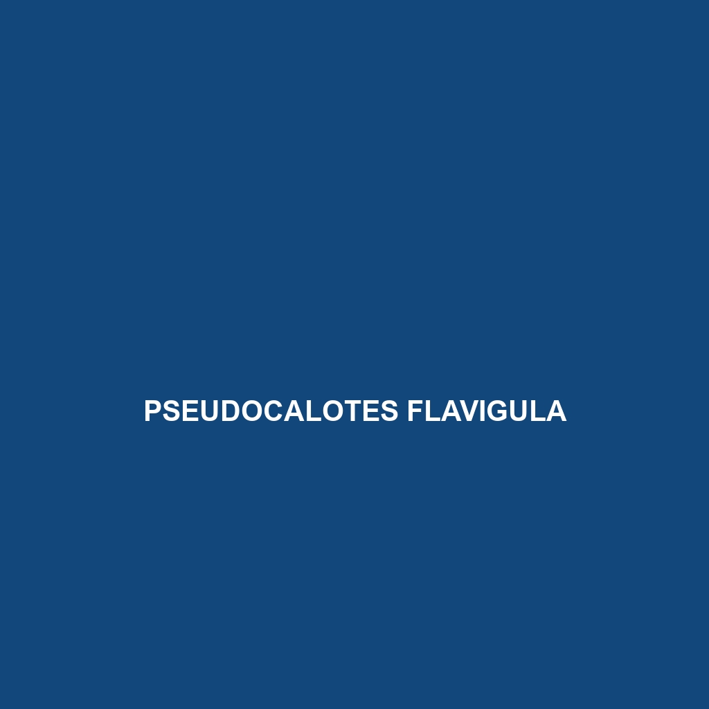 Pseudocalotes flavigula