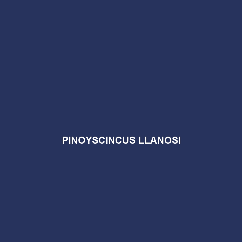 Pinoyscincus llanosi