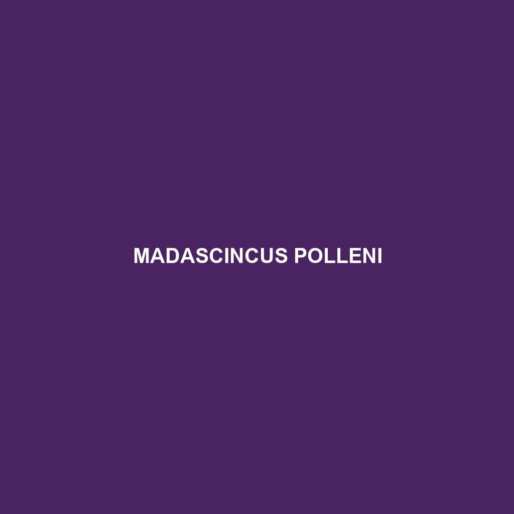 Madascincus polleni