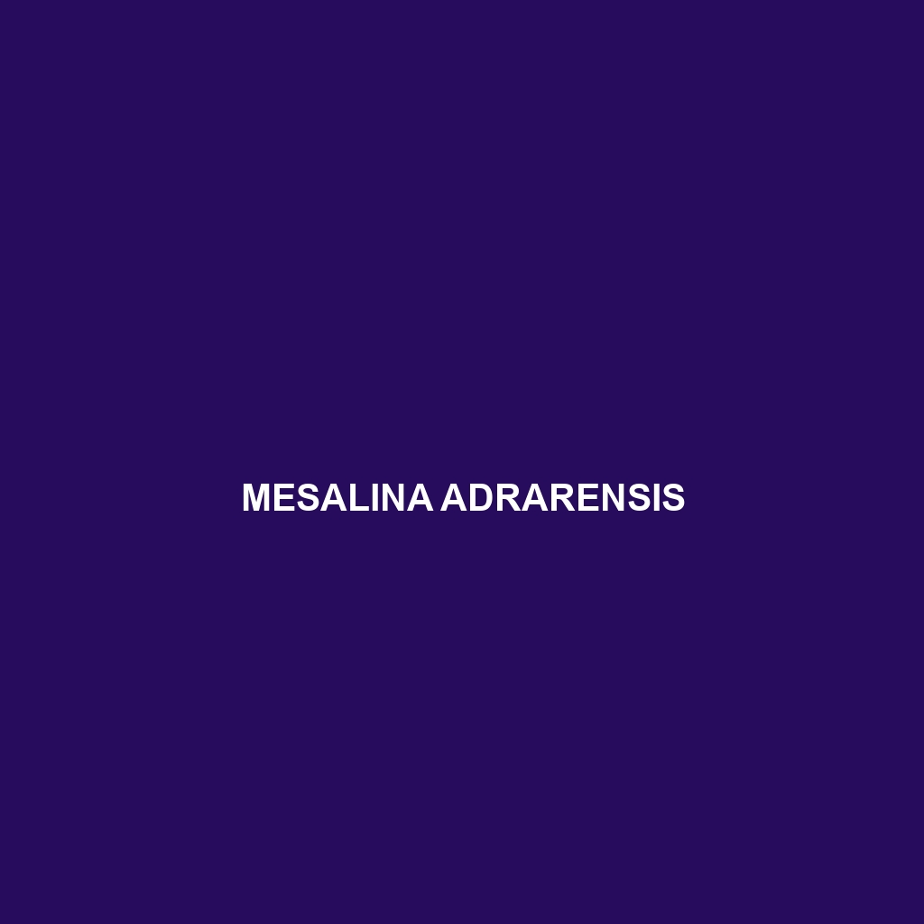 Mesalina adrarensis