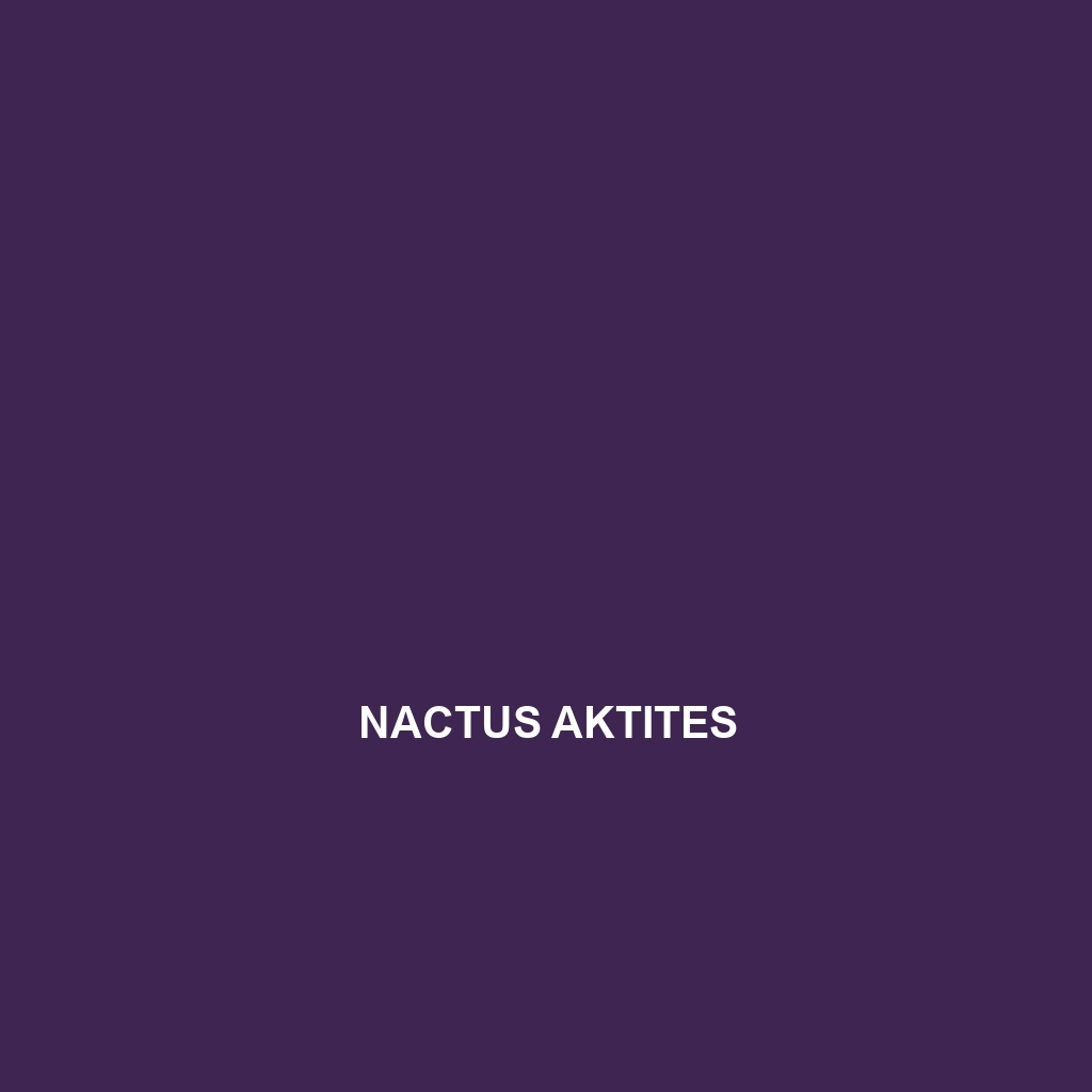 Nactus aktites