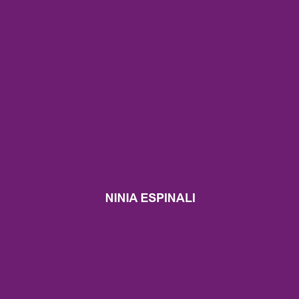 Ninia espinali