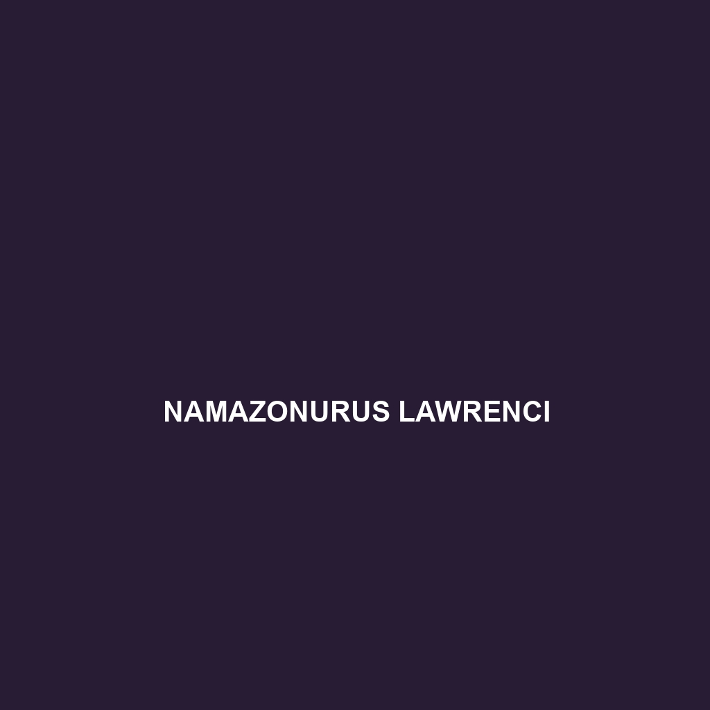 Namazonurus lawrenci