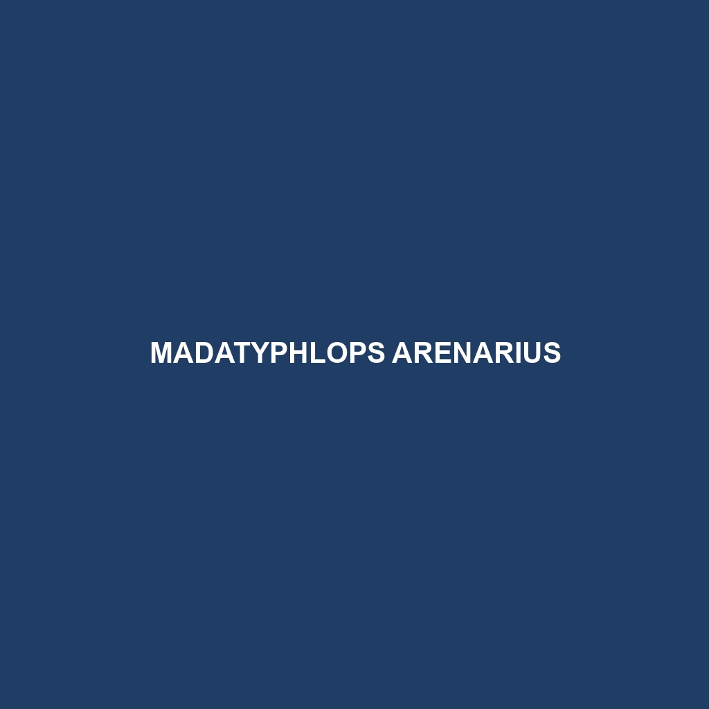 Madatyphlops arenarius