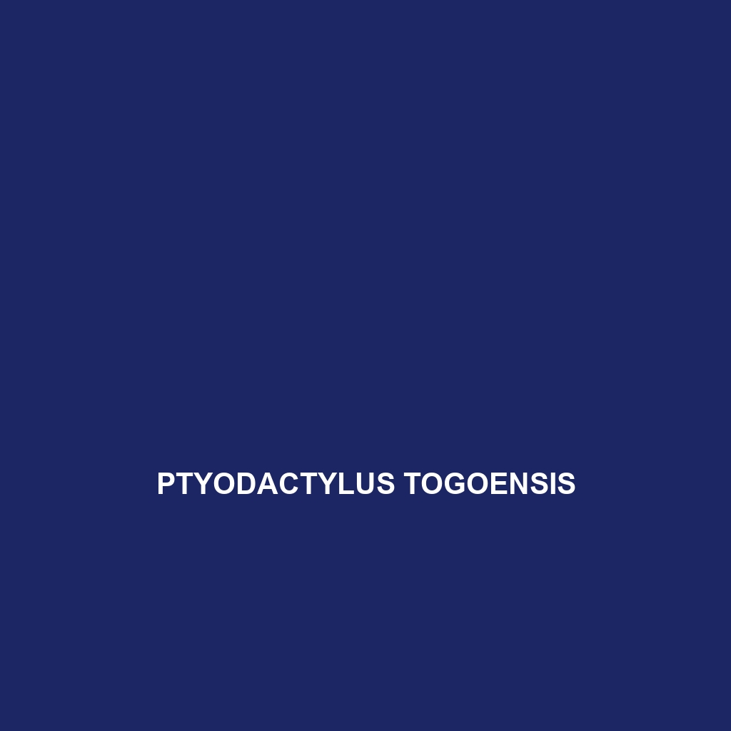 Ptyodactylus togoensis