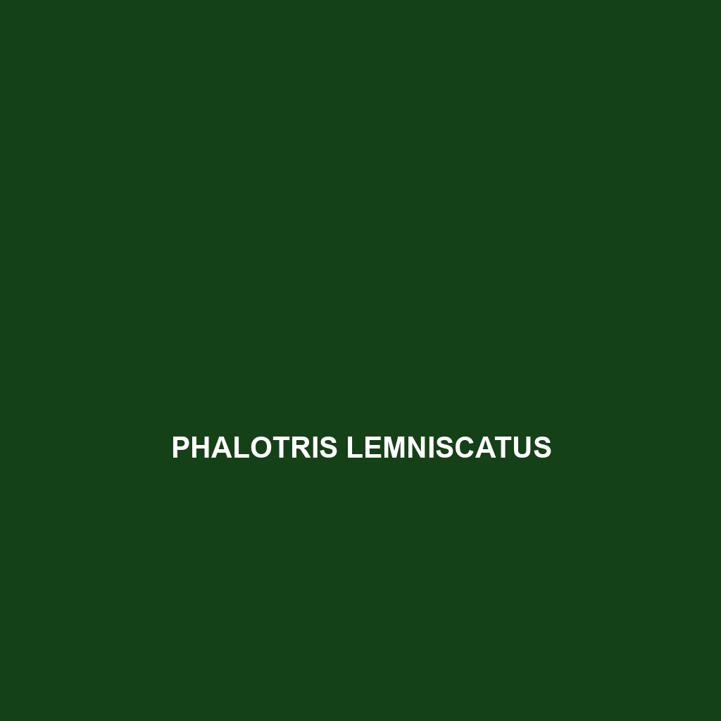 Phalotris lativittatus